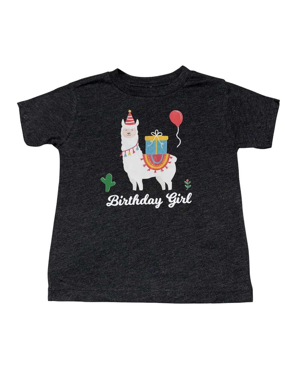 NWOT Girls Custom Birthday Girl Shirt Llama Balloons Cactus Serape Toddler 4T